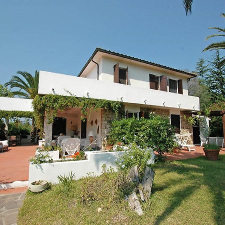 Le Palme Apartman Capoliveri Kültér fotó