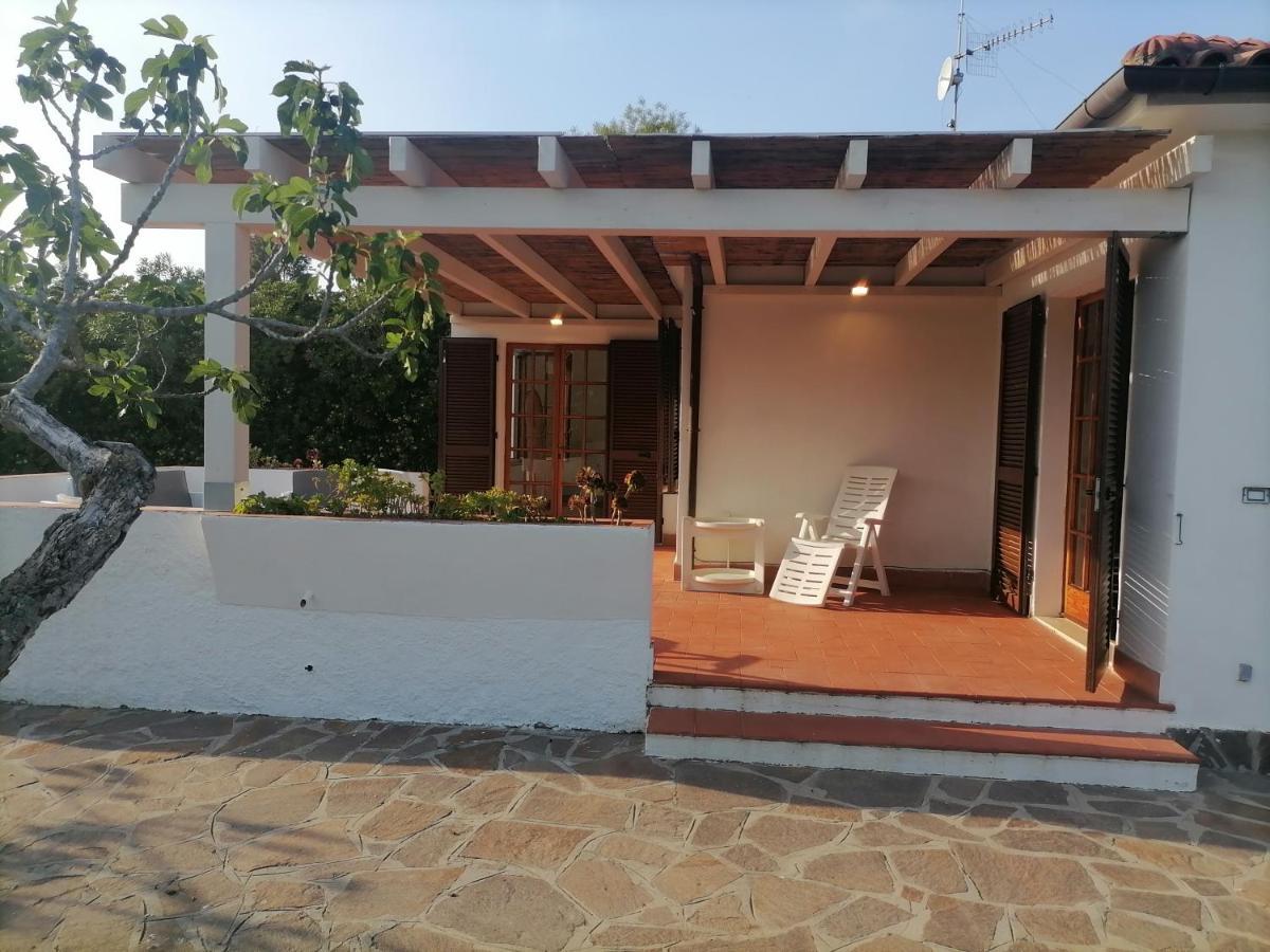 Le Palme Apartman Capoliveri Kültér fotó
