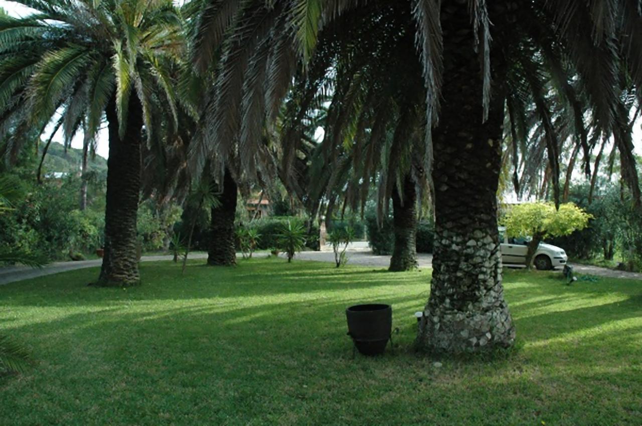 Le Palme Apartman Capoliveri Kültér fotó