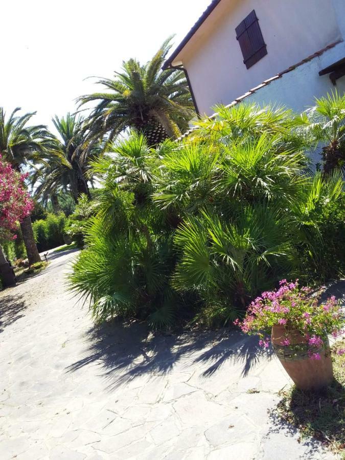 Le Palme Apartman Capoliveri Kültér fotó